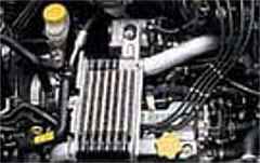 Pleo Motor